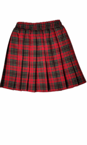 MAMAJUM mokyklinis sijonas-užsakoma prekė