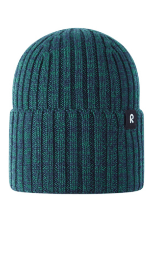 Reima žiemos kepurė Villaisa